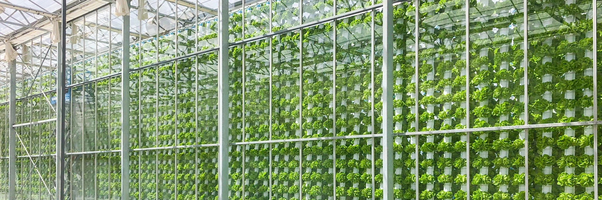 sun powered vertical farming